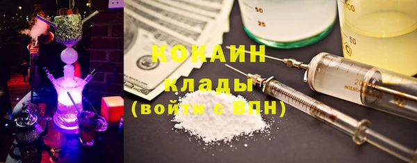 молекула духа Медногорск