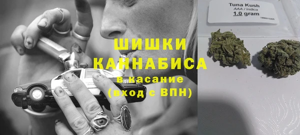 мдпв Мегион