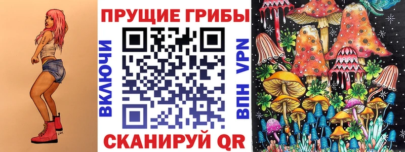 Псилоцибиновые грибы мицелий  Купить закладки  Красный Сулин 